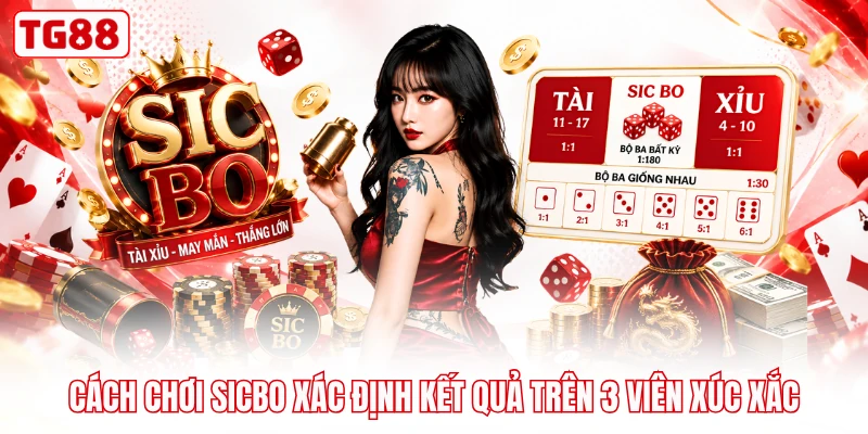 Cách chơi sicbo xác định kết quả trên 3 viên xúc xắc