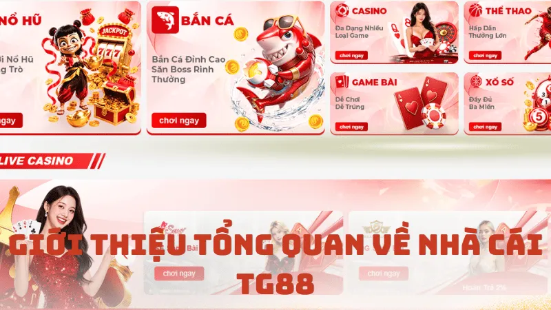 giới thiệu tổng quan nhà cái tg88